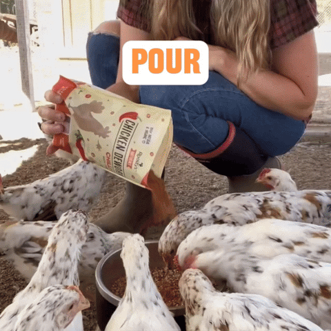 Flock Armor, Daily Chicken Dewormer, 1 lb - Roosty's