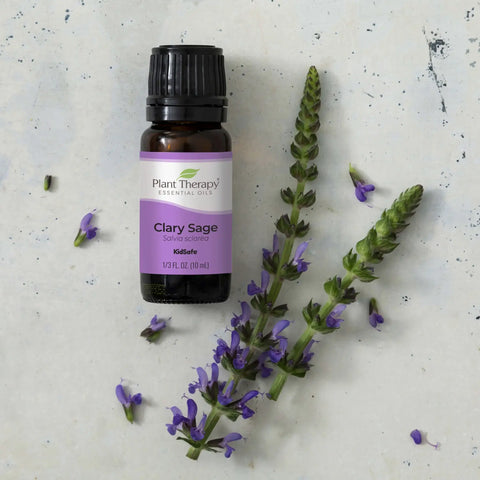 Clary Sage Essential Oil, 10 ml - Plant Therapy