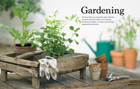 Reader's Digest - The Essential Book of Herbs: Paperback, 224 pages - Simon & Schuster