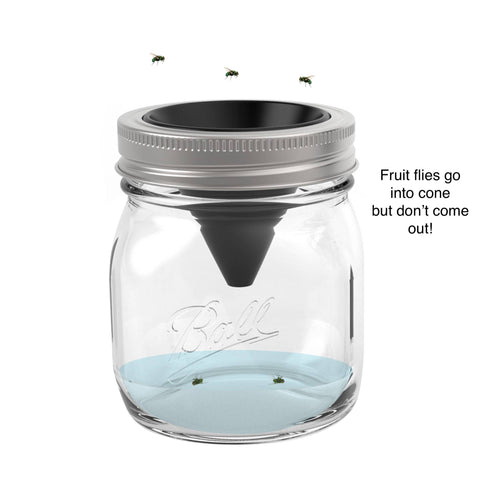 Jarware Silicone Fruit Fly Trap, Regular Mouth Mason Jar - Fox Run Brands