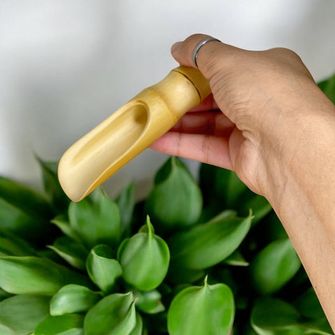 Bamboo Scoops: Wide Scoop - Bamboo Switch