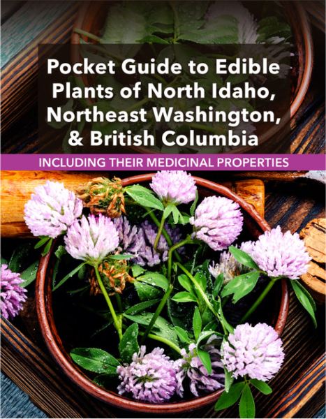 Pocket Guide to Edible Plants of North Idaho, NE Washington & British Columbia - Dawn Trammell