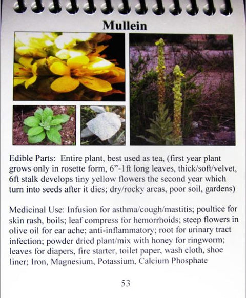 Pocket Guide to Edible Plants of North Idaho, NE Washington & British Columbia - Dawn Trammell