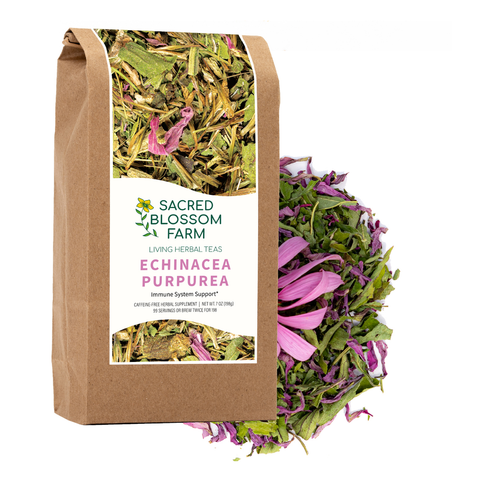 Echinacea Purpurea, 7.0 oz - Sacred Blossom Farm