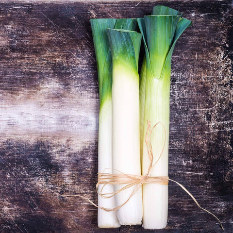 Leeks, 1500 Seeds - The Rike