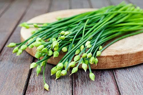 Garlic Chives, 2000 Seeds, Hẹ la Allium tuberosum - The Rike