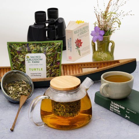 Turtle Herbal Tea, 1.4 oz - Sacred Blossom Farm