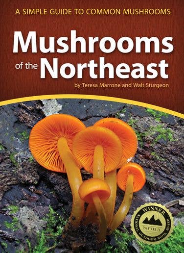Mushrooms of the Northeast - AdventureKEEN
