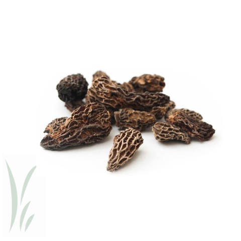 Dried Wild Morel Mushrooms, 20 g - Mikuni Wild Harvest USA