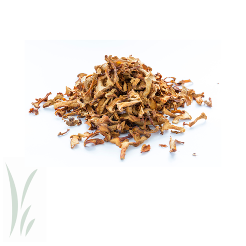 Dried Wild Chanterelle Mushrooms, 20 g - Mikuni Wild Harvest USA
