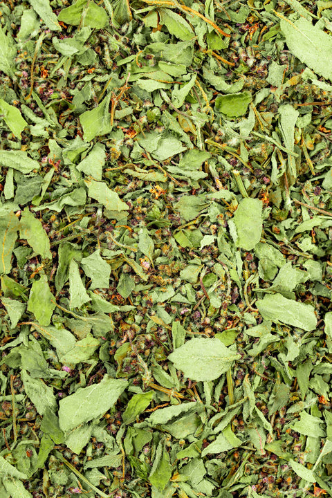 Tulsi Herbal Tea, 5.1 oz - Sacred Blossom Farm