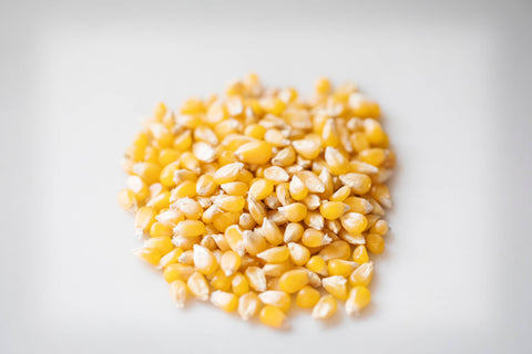 2 lb Bag of Ladyfinger Hulless Popcorn - Amish Country Popcorn