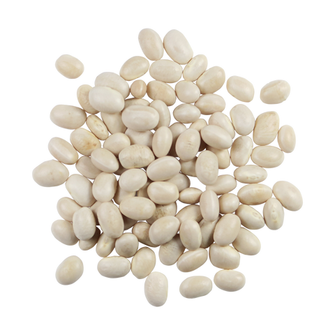 Organic Navy Beans, 16 oz - Edison Grainery