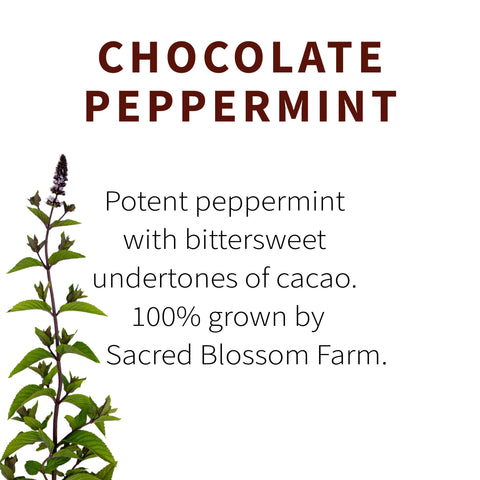 Chocolate Peppermint Herbal Tea, 1.4 oz - Sacred Blossom Farm