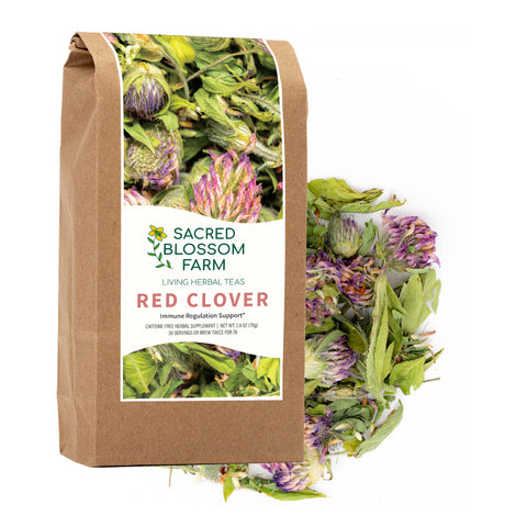 Red Clover, 2.8 oz - Sacred Blossom Farm