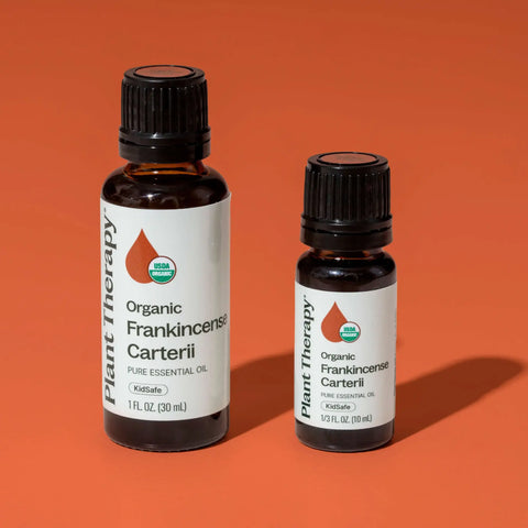 Organic Frankincense Carterii Essential Oil, 10 ml - Plant Therapy