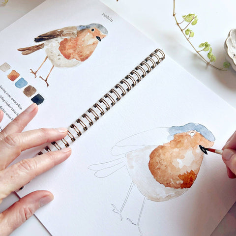 Birds Watercolor Workbook - Emily Lex Studio