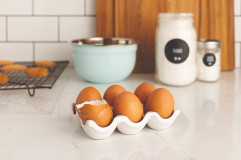 Matte White Ceramic Egg Crate, holds 6 eggs - Now Designs by Danica