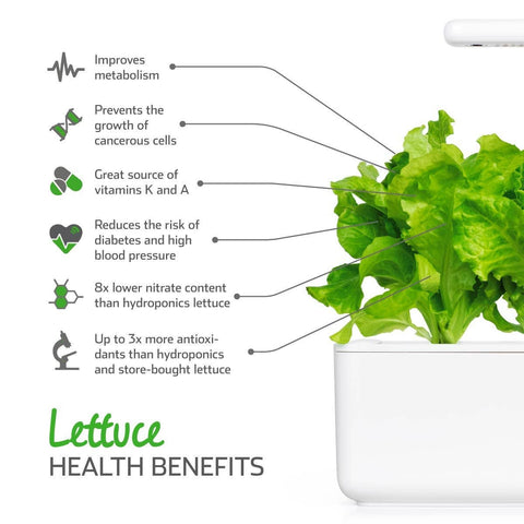 Green Lettuce Pods, 3-pack - Click and Grow