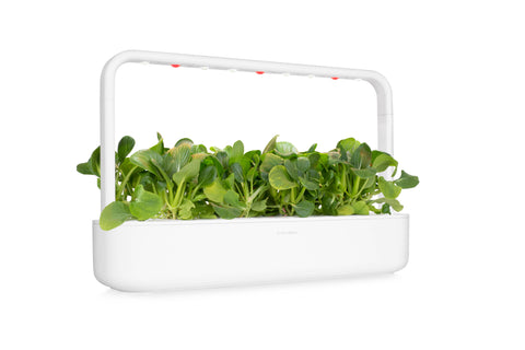 Pak Choi Plant Pods, 3-pack - Click and Grow
