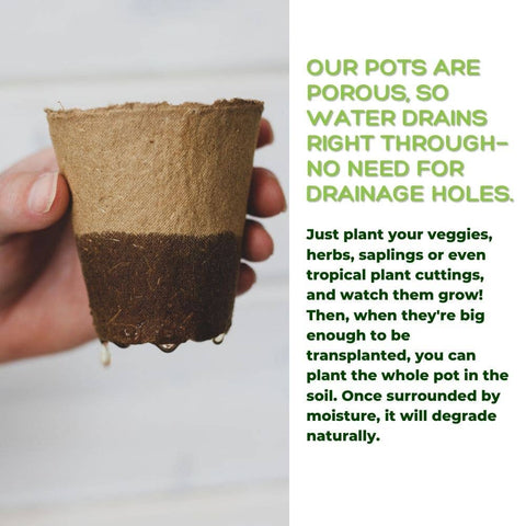 Naked Pots, 4" Plantable Seed Starter Pots, 30 Pc - Daniel's Plants