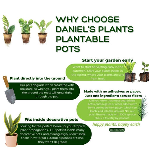 Naked Pots, 4" Plantable Seed Starter Pots, 30 Pc - Daniel's Plants