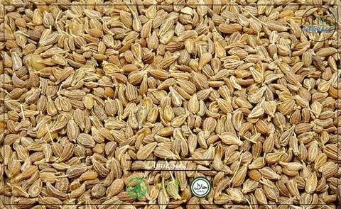 Anise Seeds: 16 oz (1 lb) - Alive Herbals