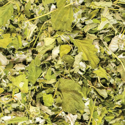 Raspberry Leaf, 4.5 oz - Sacred Blossom Farm