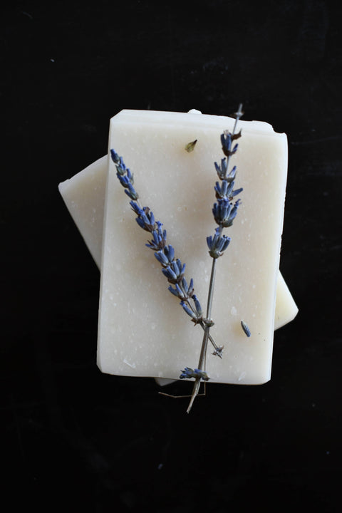 Fresh Lavender - Olive Oil Soap - Orange Thyme Bath Apothecary