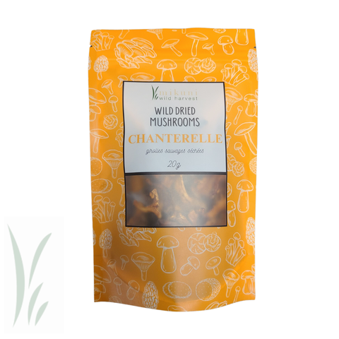 Dried Wild Chanterelle Mushrooms, 20 g - Mikuni Wild Harvest USA