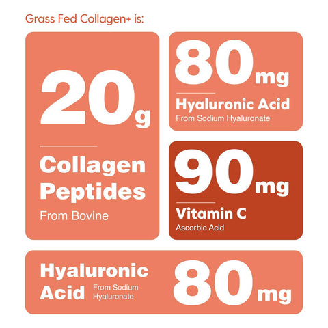 Collagen+ with Hydrolyzed Collagen Powder, 16 oz - Hearthy Foods