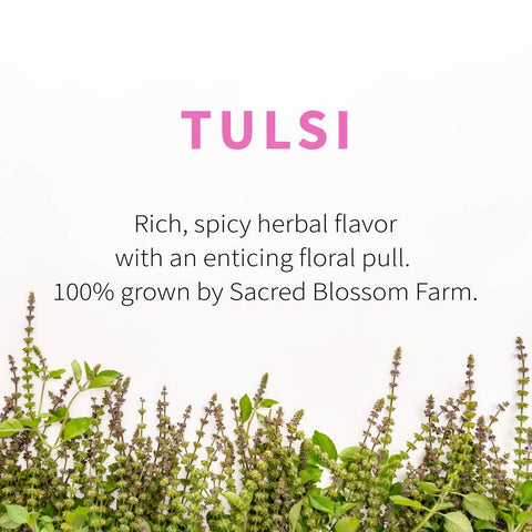 Tulsi Herbal Tea, 5.1 oz - Sacred Blossom Farm