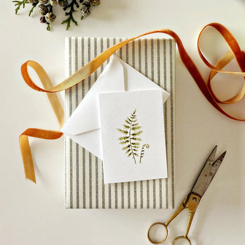 Fern mini enclosure notecard - Emily Lex Studio