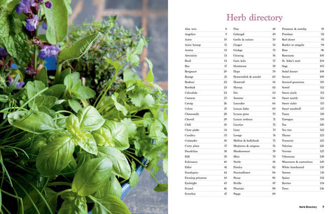 Reader's Digest - The Essential Book of Herbs: Paperback, 224 pages - Simon & Schuster