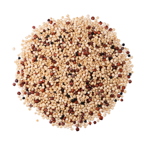 Organic, Gluten-Free Tri-Color Quinoa, 16 oz - Edison Grainery