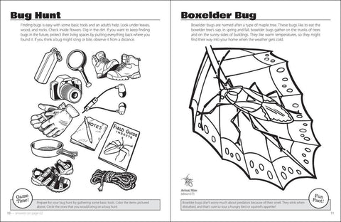 Beautiful Bugs Activity Book - AdventureKEEN