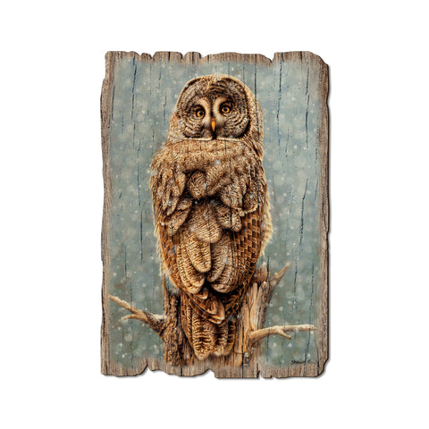 Great Gray Owl, Wood Rustic Edge Postcard - DaydreamHQ