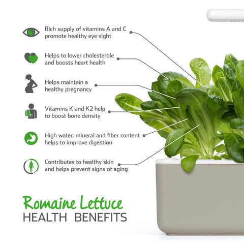 Romaine Lettuce Plant Pods, 3-pack - Click and Grow