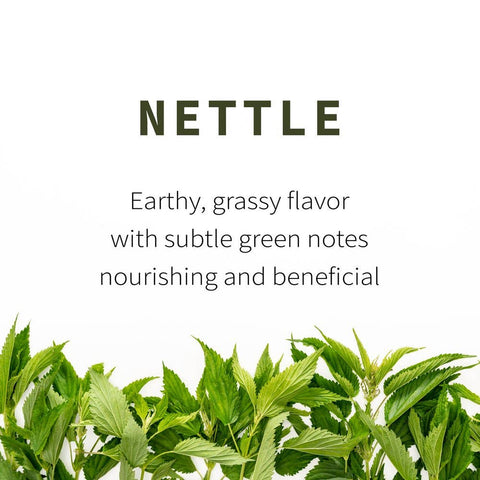 Nettle Leaf (Urtica dioica), 5.5 oz - Sacred Blossom Farm