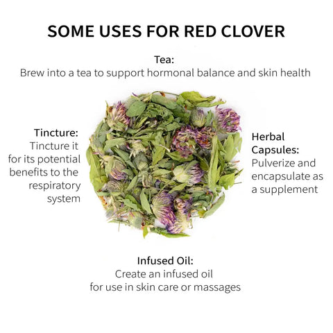Red Clover, 2.8 oz - Sacred Blossom Farm