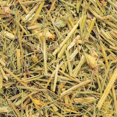 California Poppy, 4.6 oz - Sacred Blossom Farm