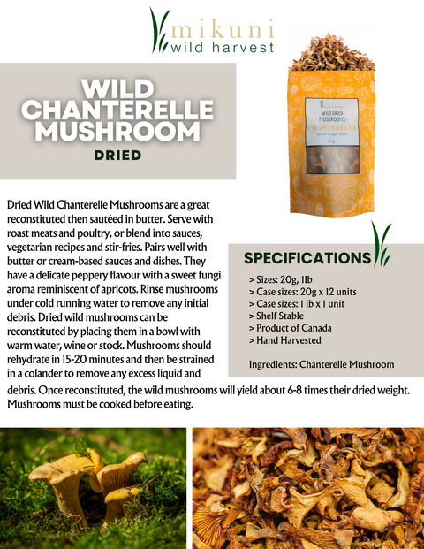 Dried Wild Chanterelle Mushrooms, 20 g - Mikuni Wild Harvest USA