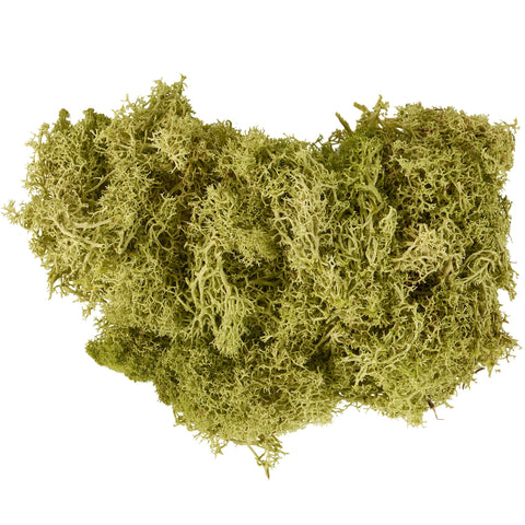 Moss Filler - Primitives by Kathy