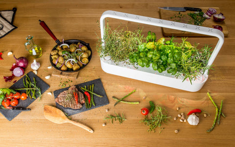 The Smart Garden 9, White, holds 9 Pods - Click and Grow