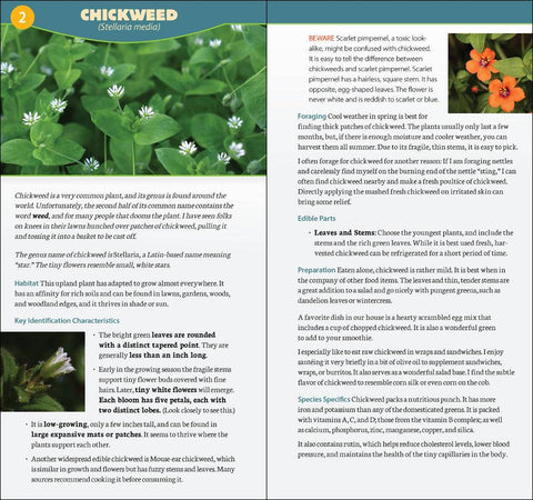 Foraging in North America Quick Guide - AdventureKEEN