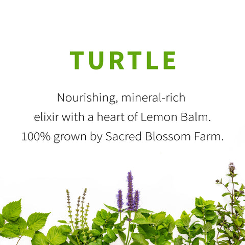 Turtle Herbal Tea, 1.4 oz - Sacred Blossom Farm