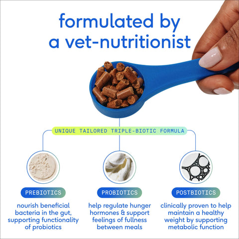 Native Pet GutWell Trim Down, Weight Management & Metabolic, 12.7 oz - Native Pet