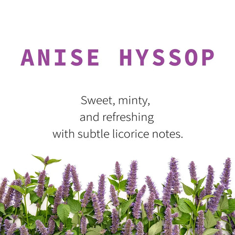 Anise Hyssop, 5.8 oz - Sacred Blossom Farm