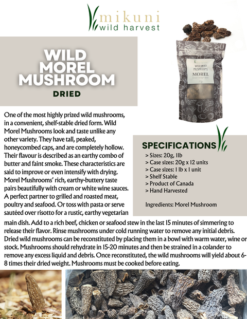 Dried Wild Morel Mushrooms, 20 g - Mikuni Wild Harvest USA