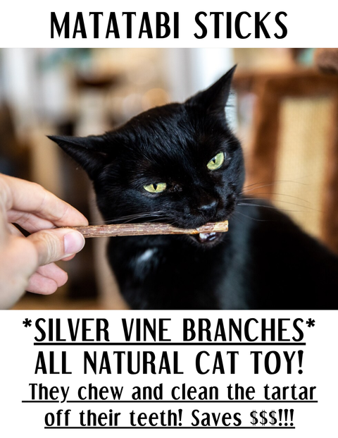 Matatabi Sticks, Cat Chew Toy - Shady Cat Social Club